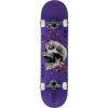 DGK Ancestry Complete 8.25 Purple