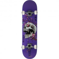 DGK Ancestry Complete 8.25 Purple