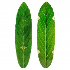 Habitat Leaf Lines Green 8.75 Deck Habitat Leaf Lines Green 8.75 Deck