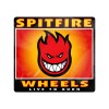 Spitfire Bighead Box Sm Sticker